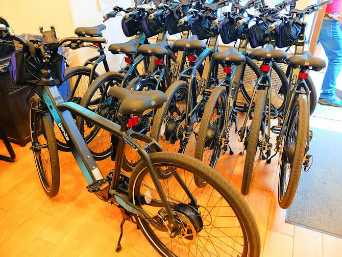 Facilities for Disabled People in New York - Electric Bike