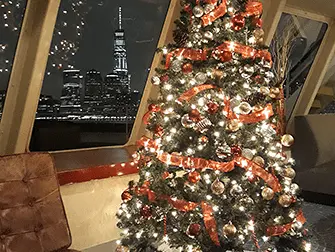 Christmas Eve Dinner Cruises in New York - Christmas Tree