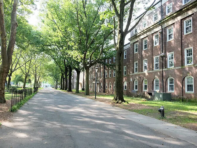 Things to do on Governors Island - Houses New York