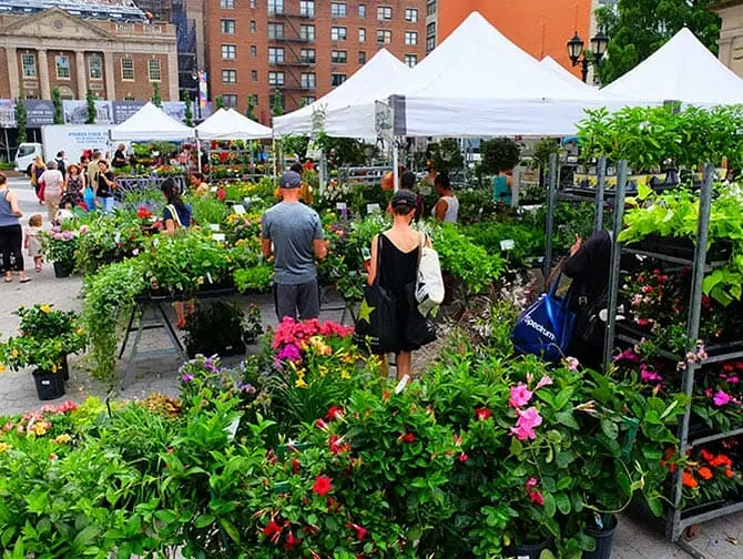 New York Markets - Plants on Union Square