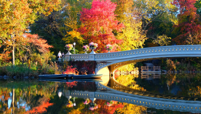 Central Park in New York - Fall Central Park Bow Bridge