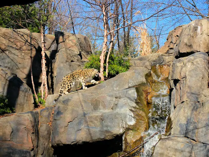 Central Park Zoo New York 