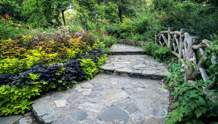 Shakespeare Garden Central Park  Central Park in New York Shakespeare Garden