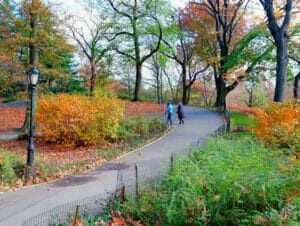 Parks in New York