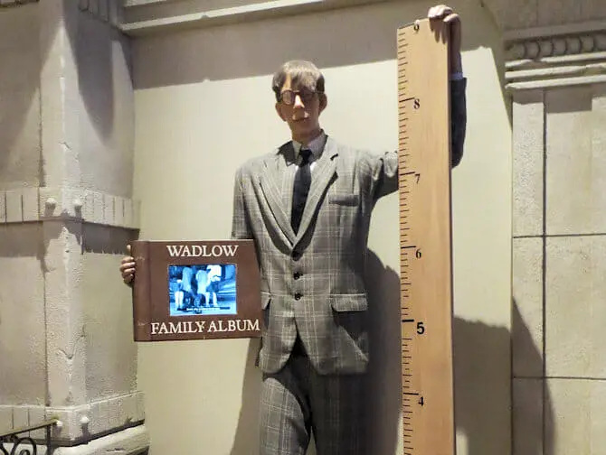 Ripley’s Believe It or Not! in New York - exhibition
