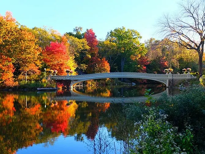 Central Park Movie Sites Walking Tour   Bow Bridge