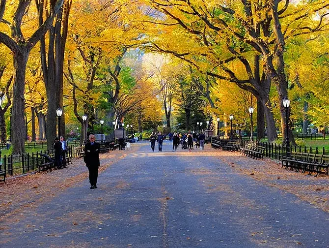 Central Park Movie Sites Walking Tour - The mall