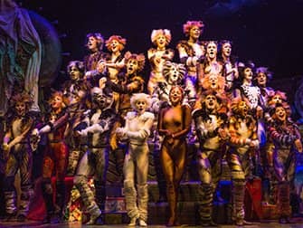 Cats on Broadway Tickets - Ensemble