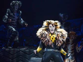 Cats on Broadway Tickets - Solo