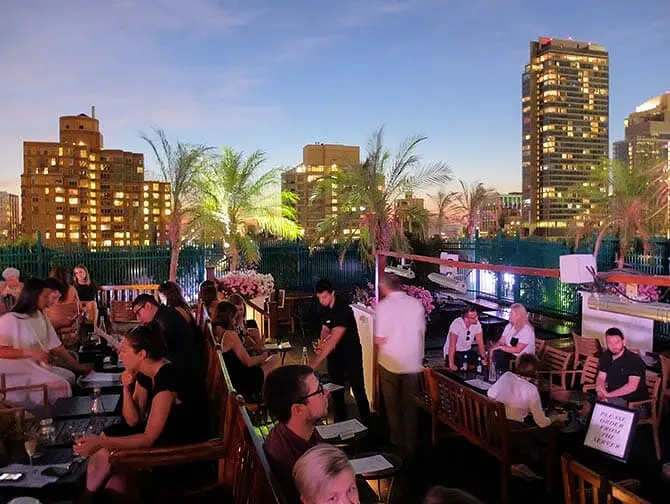 Rooftop Bar Tour in New York - 230 Fifth