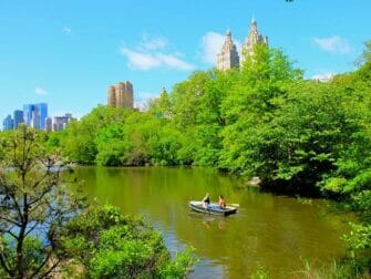 Rowing Boat Rental in Central Park - Couple Rowing