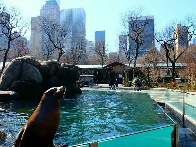 Central Park Zoo Tickets