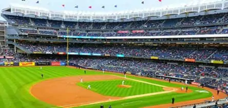 See a Yankees game