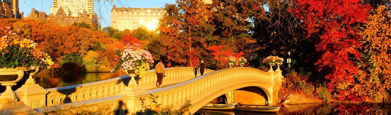 Autumn in Central Park