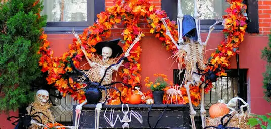 Celebrate Halloween