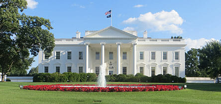 Washington D.C. Day Trip