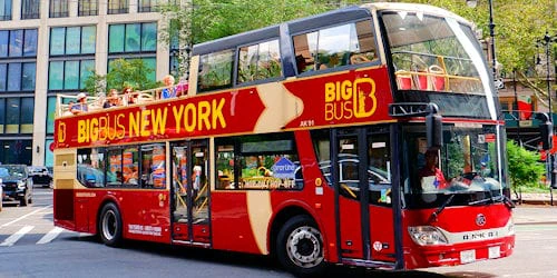 Hop on Hop Off Bus Tour