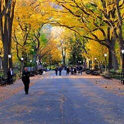 Top 10 New York Attractions - NewYorkCity.ca