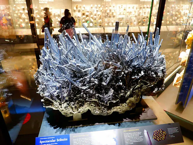 The American Museum of Natural History in New York Gems