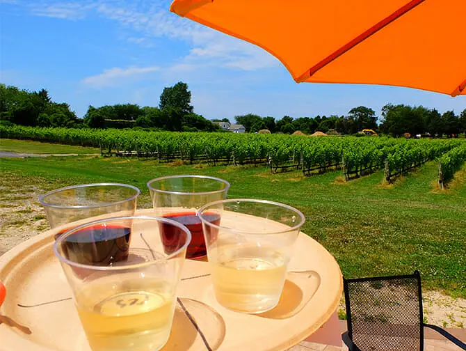 Winery Day Trip from New York Wine tasting