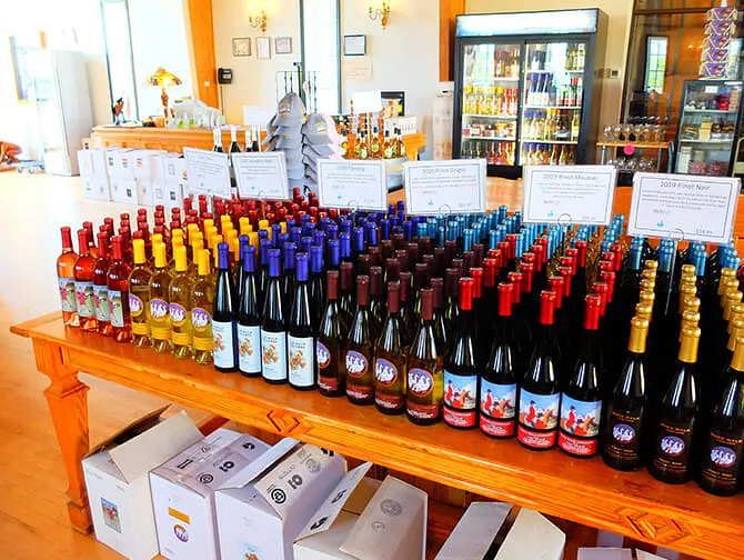 Winery Day Trip from New York Wines