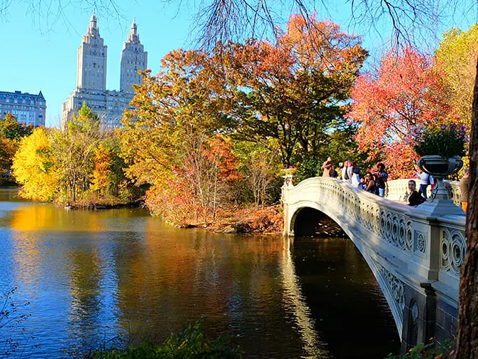 Getting Married in New York Central Park
