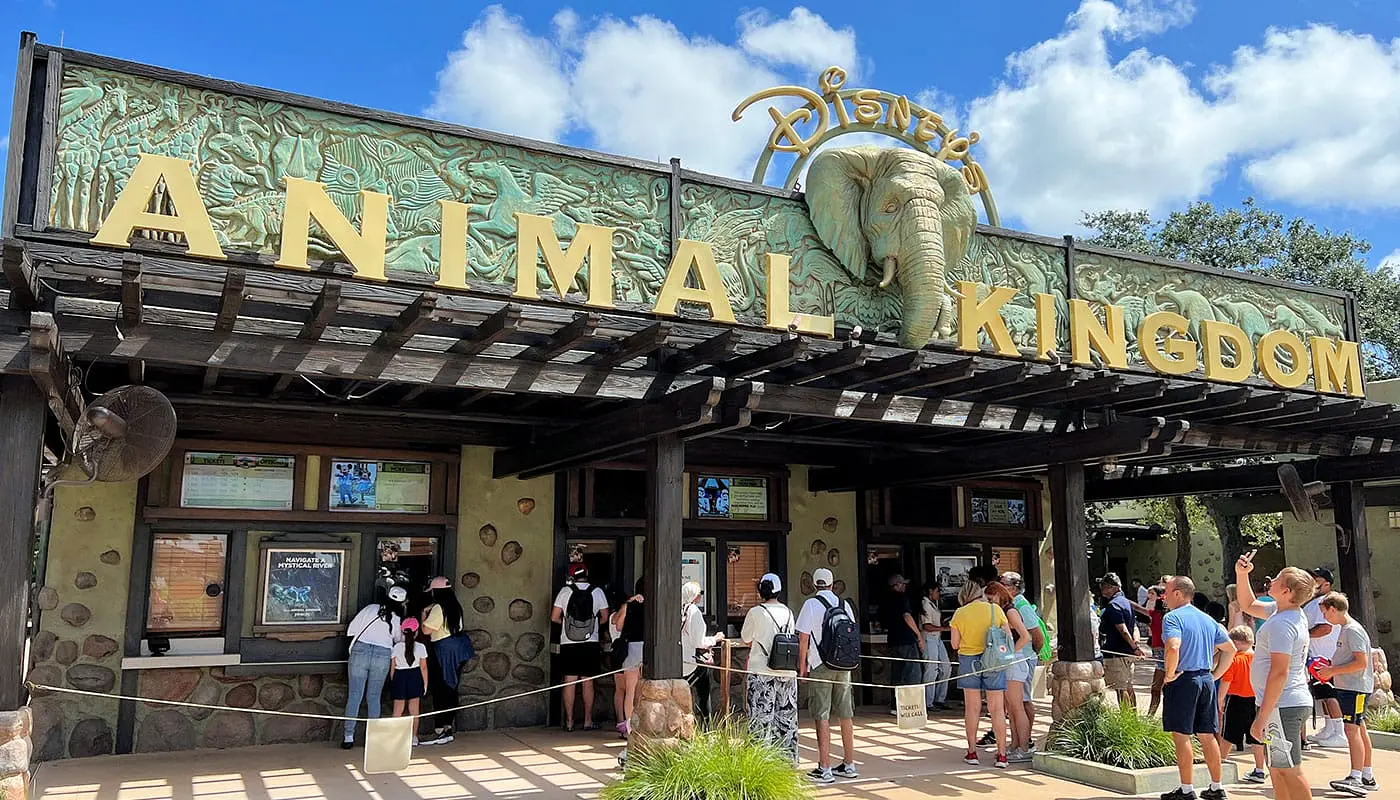 Combine New York with Orlando Disneys Animal Kingdom Theme Park