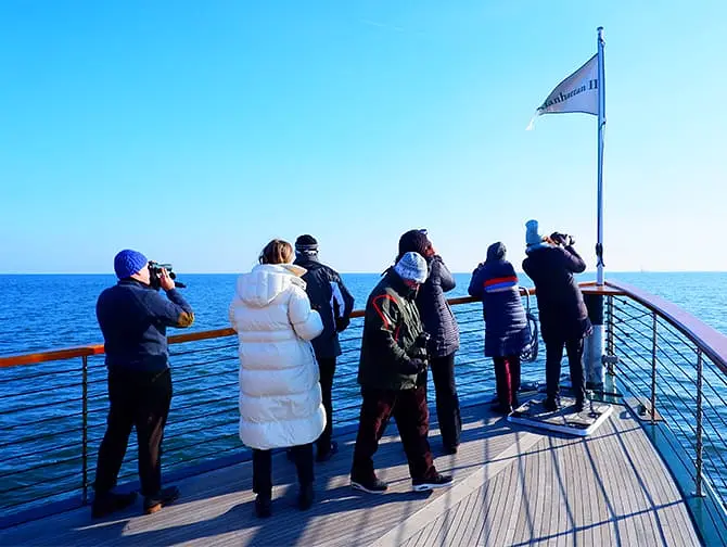 New York Seals and Bird Watching boat tour