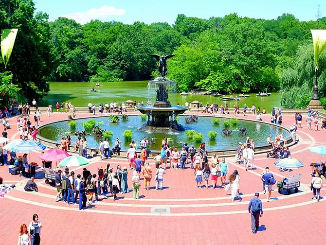 Bike Rental in New York with Picnic -Biking in Central Park