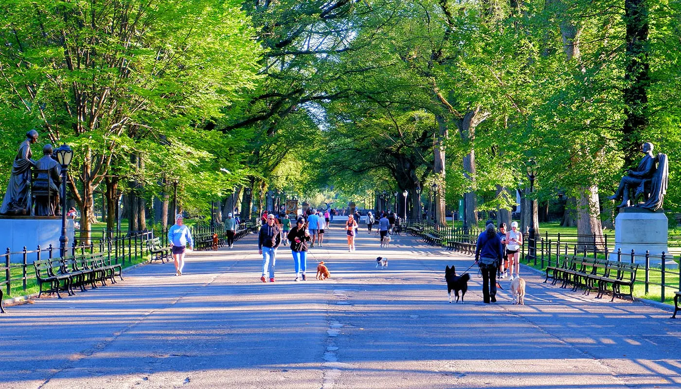 New Yorkers - People living in New York