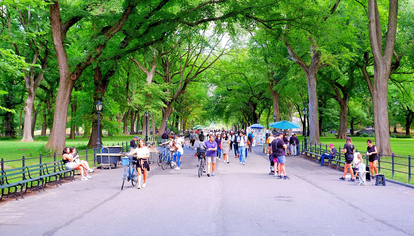New York 4 day Itinerary - Explore Central Park by bike or foot